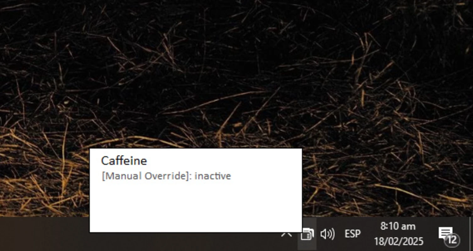 Caffeine — skærmbillede 1